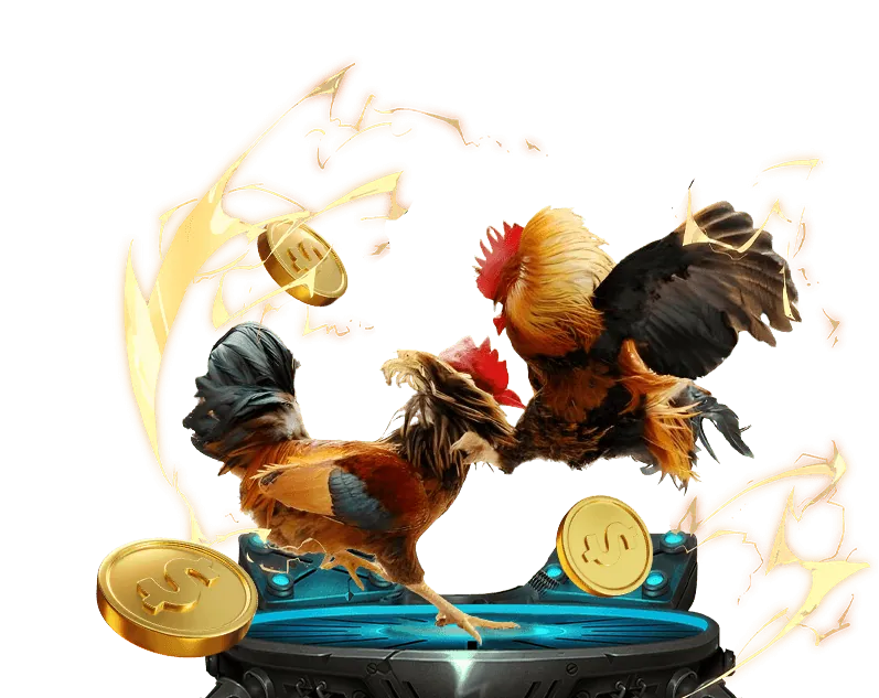 Chương Trình Hoàn Trả Không Giới Hạn TV8804